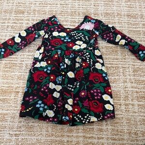 Hanna Andersson Floral Long Sleeve Kids Dress